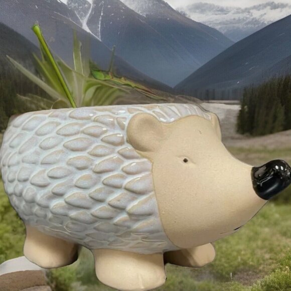 Hedgehog ceramic ~ Planter ~ Vase ~ used for candy or decoration NEW - Picture 8 of 9